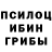 Псилоцибиновые грибы GOLDEN TEACHER Modding Thomas