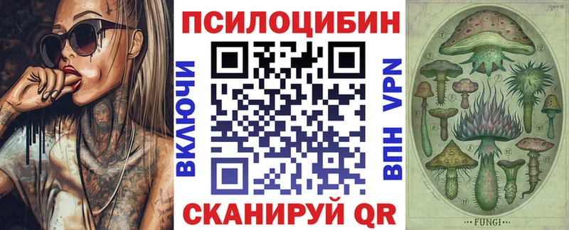 купить  цена  Сычёвка  Псилоцибиновые грибы прущие грибы 